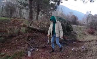 Takla atan araçta burnu bile kanamadı......