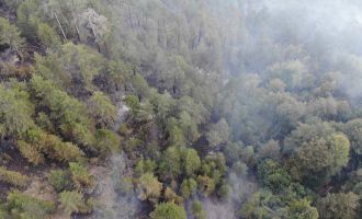 Tekrar başlayan orman yangını kısmi olarak kontrol altına alındı