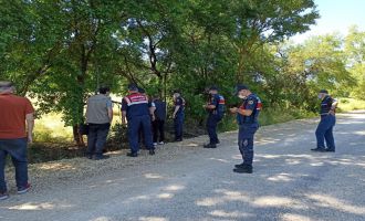 Tellere takılan ayı uyutularak kurtarıldı