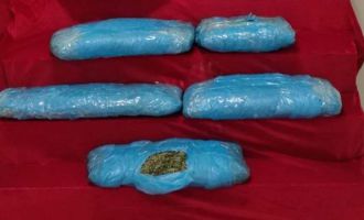 TEM’de 4 kilo 700 gram esrarla yakalanan 2 kişi tutuklandı