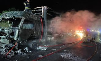 TEM’de kağıt yüklü tır alev alev yandı...