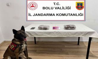 TEM’de yolcu otobüsünde 810 gram esrar ele geçirildi; 1 tutuklama
