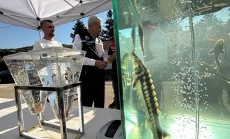 Türkiye'den dünya sofralarına siyah havyar: ‘Gramı 1 eurodan satılıyor’