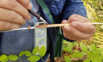 Ulusal Orman Envanteri çalışmaları devam ediyor