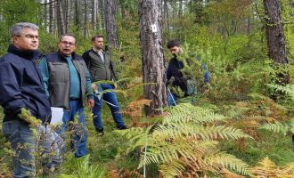 Ulusal orman envanteri çalışmaları tüm hızıyla sürüyor…