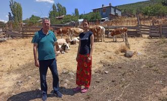 Üniversiteden mezun olan genç kıza 5 düve hibe edildi