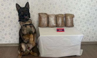 Uyuşturucu taciri otobüste yakalandı......