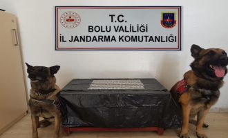 Uyuşturucuyla yakalanan yabancı uyruklu şahıs tutuklandı