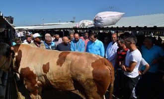 Vali Ümit Hayvan Pazarında Denetlemelerde Bulundu 