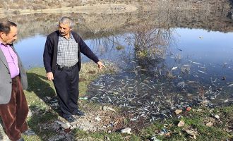Vatandaşlar Gerede de ki fabrikalardan şikayetçi