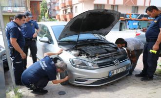 Yaramaz yavru kedi ekipleri çok uğraştırdı