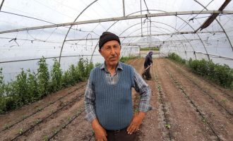 Yarım asırlık âşıklar emekliliğin tadını seracılık yaparak çıkarıyor