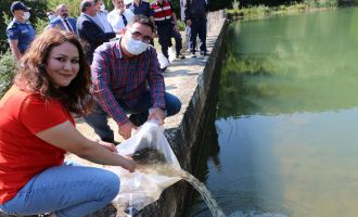 Yarım milyon yavru balık gölle buluşturuluyor