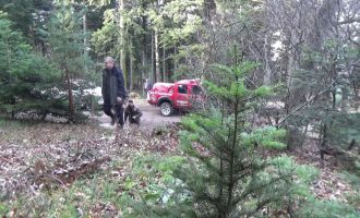 Yılbaşı öncesi orman memurları çam nöbetinde