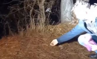 Yiyecek arayan tilkiyi köpek mamasıyla besledi..