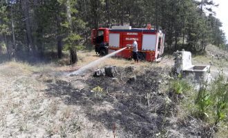 Yol kenarına atılan sigara yangına neden oldu..