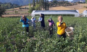 Ziraat mühendisinin tarlasında başlattığı kampanya vatandaşa yaradı