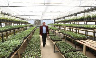 Ziyaret eden herkese ücretsiz dağıtılacak..