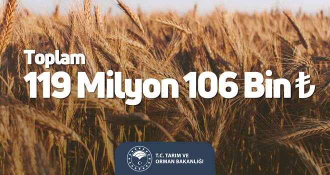 Tarım ve Orman Bakanlığı: '119,1 milyon liralık tarımsal destek ödemesi hesaplara aktarıldı”