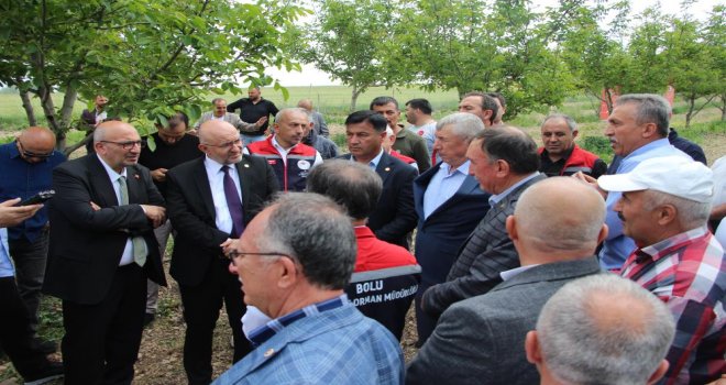 TBMM Zirai Don Araştırma Komisyonu, Bolu'da inceleme yaptı