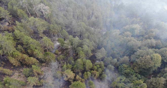 Tekrar başlayan orman yangını kısmi olarak kontrol altına alındı