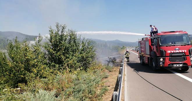 TEM otoyolu kenarında kuruyan otlar yandı
