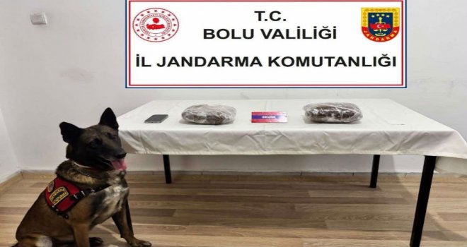 TEM’de yolcu otobüsünde 810 gram esrar ele geçirildi; 1 tutuklama