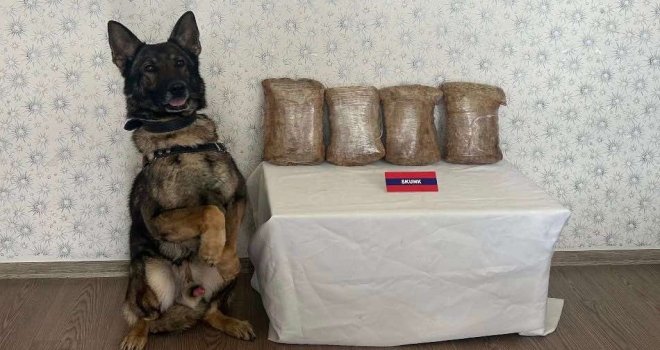 Uyuşturucu taciri otobüste yakalandı......