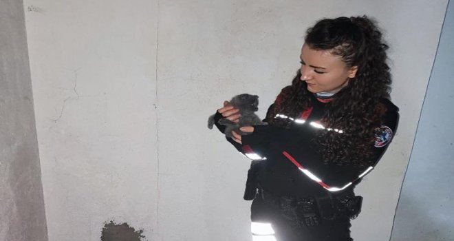 Yaramaz yavru kedi, apartman boşluğuna düştü..