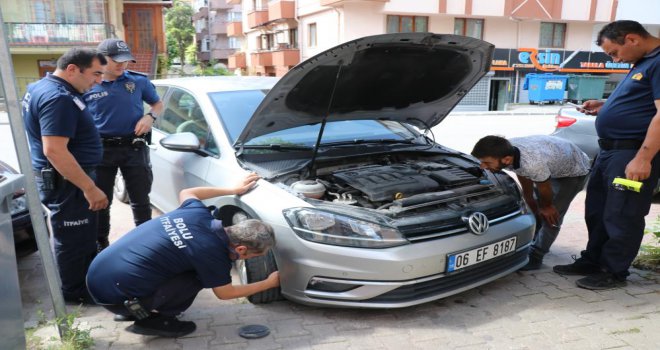 Yaramaz yavru kedi ekipleri çok uğraştırdı