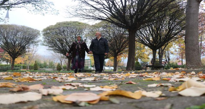 Yarım asırlık çiftin aşkları görenleri hayran bırakıyor..
