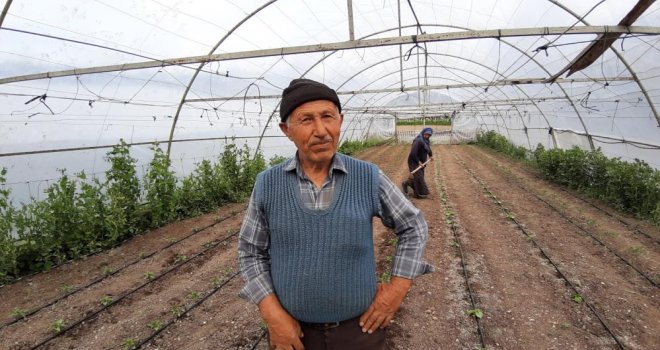 Yarım asırlık âşıklar emekliliğin tadını seracılık yaparak çıkarıyor