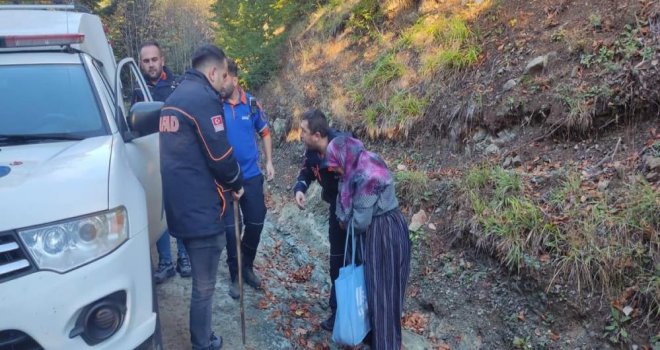 Yeğeniyle mantar toplamaya giden yaşlı kadın ormanda kayboldu..