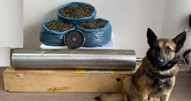 Yolcu otobüsündeki 15 kilo uyuşturucuyu ‘Asır’ buldu