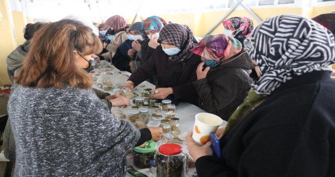 Yüzlerce yıllık ata tohumları vatandaşlarla buluşturuldu..