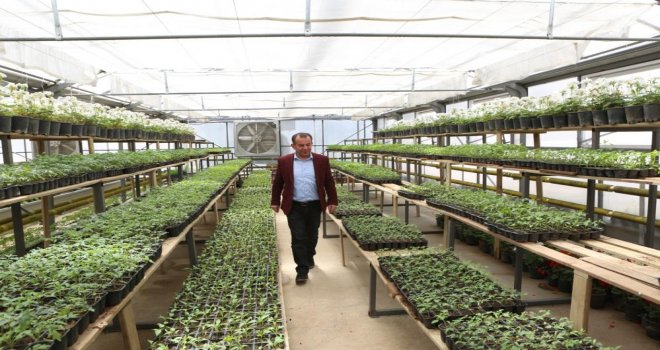 Ziyaret eden herkese ücretsiz dağıtılacak..